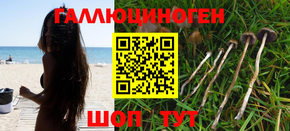Галлюциногенные грибы Cubensis Зерноград