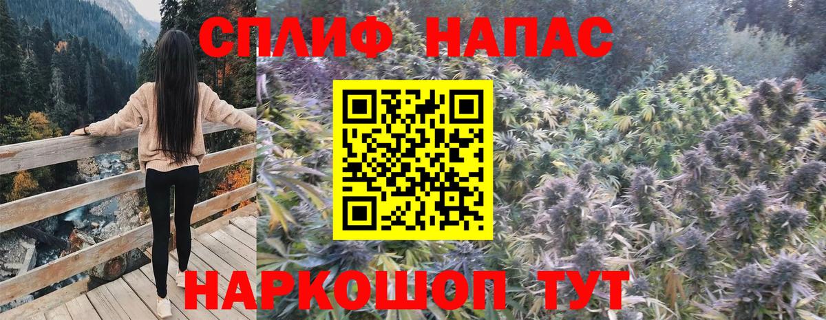 Зерноград  Конопля планчик  Вход с VPN  Бошки марихуана Bruce Banner 