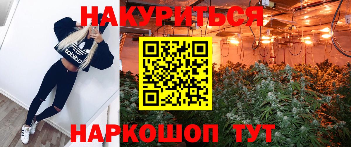 Канабис марихуана Зерноград